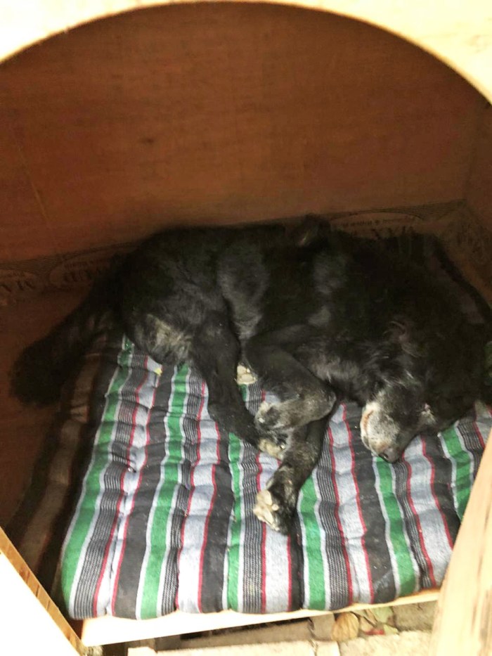 PHOTO-2018-12-10-16-14-25